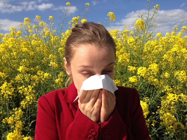 Allergies Hayfever